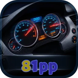 81pp